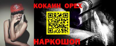 СК Новодвинск