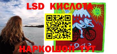 spice Новозыбков