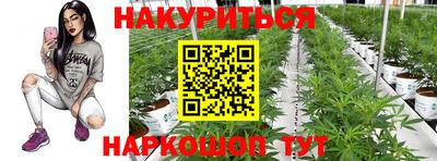 spice Новозыбков