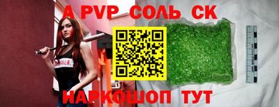СК Новодвинск