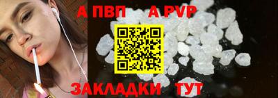 СК Новодвинск